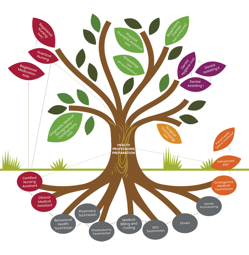 Germanna's Health Sciences Tree of Opportunity graphic